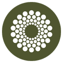 Cocoon logo