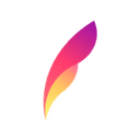 Voyager Search logo