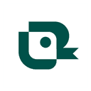 Dark Wolf Solutions logo
