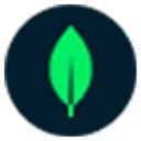 mongodb logo